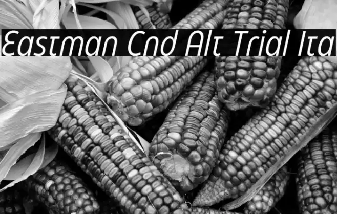 Eastman Cnd Alt Trial Ita Font examples