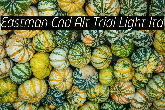 Eastman Cnd Alt Trial Light Ita Example 2