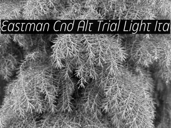 Eastman Cnd Alt Trial Light Ita Font examples