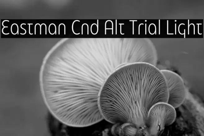 Eastman Cnd Alt Trial Light Font examples