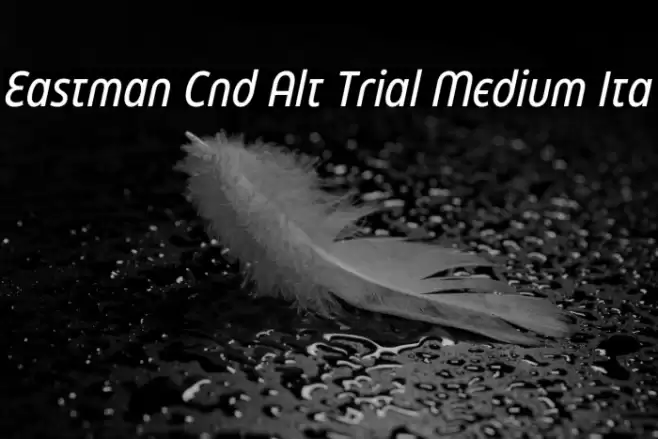 Eastman Cnd Alt Trial Medium Ita Font examples