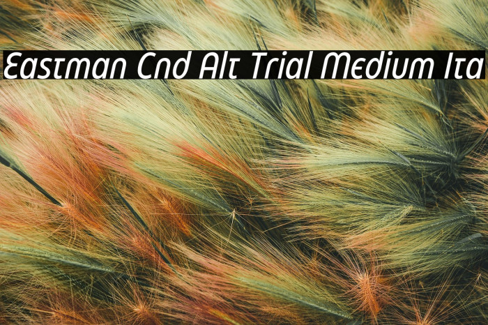 Eastman Cnd Alt Trial Medium Ita Example 3