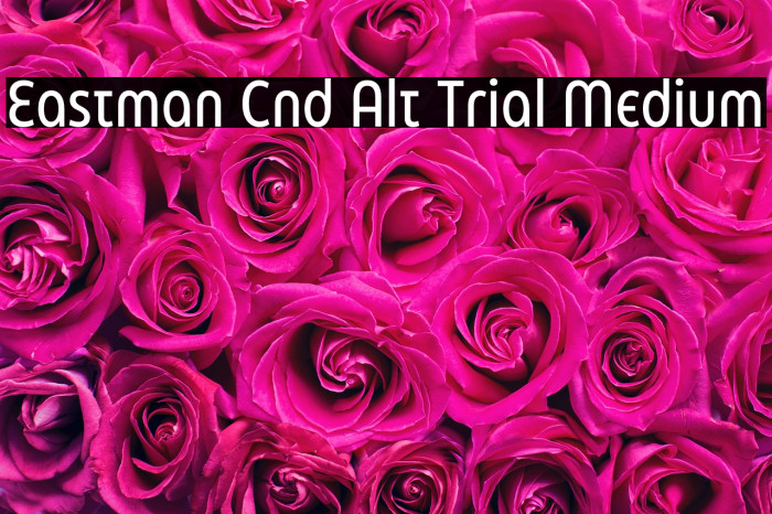 Eastman Cnd Alt Trial Medium Example 3