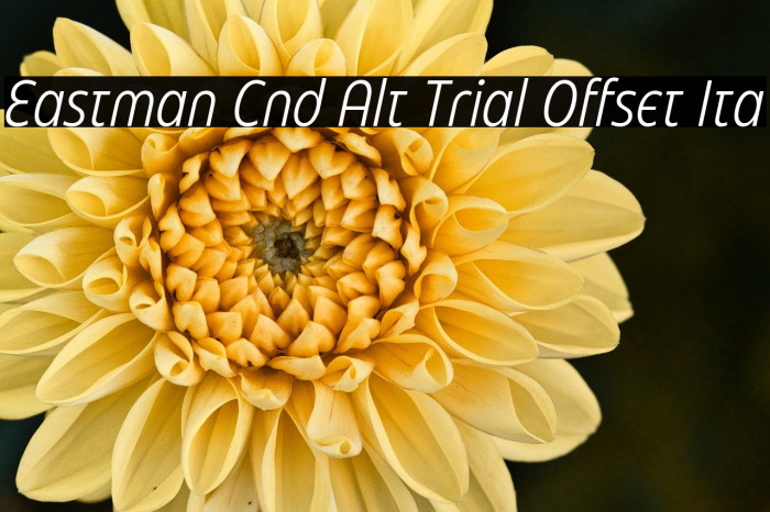 Eastman Cnd Alt Trial Offset Ita Example 2