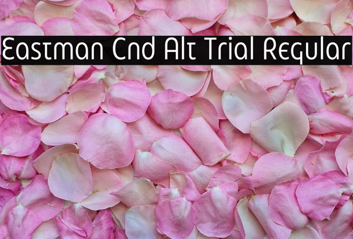 Eastman Cnd Alt Trial Regular Example 1