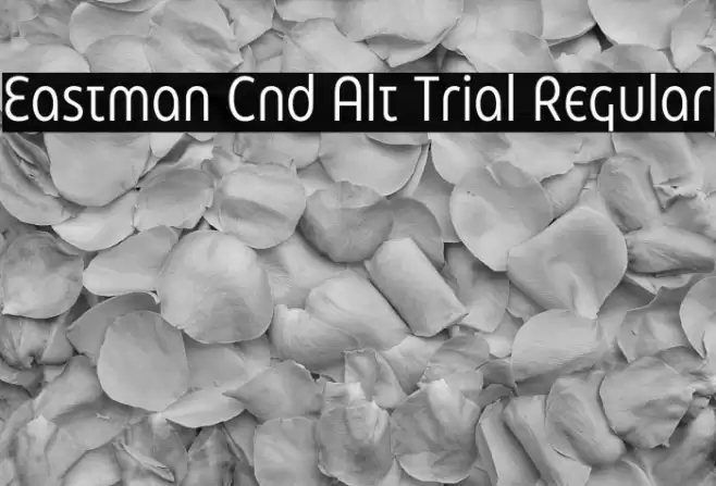 Eastman Cnd Alt Trial Regular Font examples