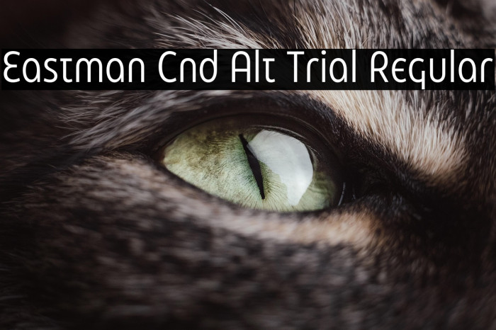 Eastman Cnd Alt Trial Regular Example 2