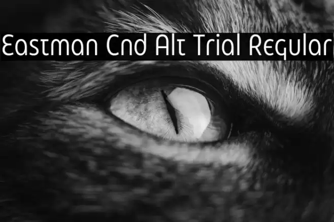 Eastman Cnd Alt Trial Regular Font examples