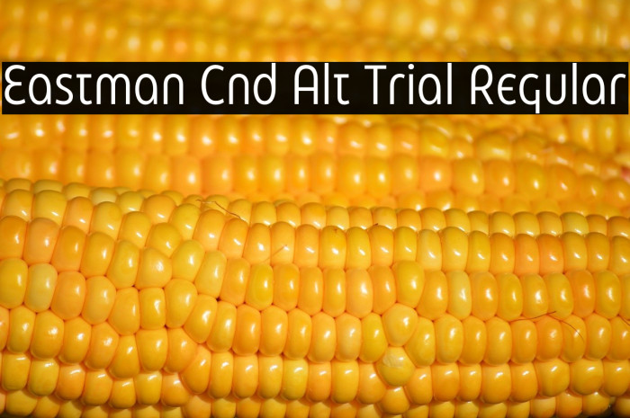 Eastman Cnd Alt Trial Regular Example 3