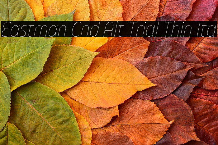 Eastman Cnd Alt Trial Thin Ita Example 3