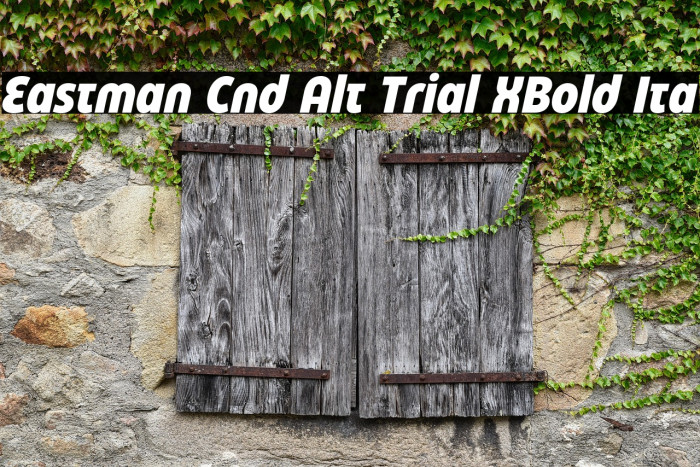 Eastman Cnd Alt Trial XBold Ita Example 1