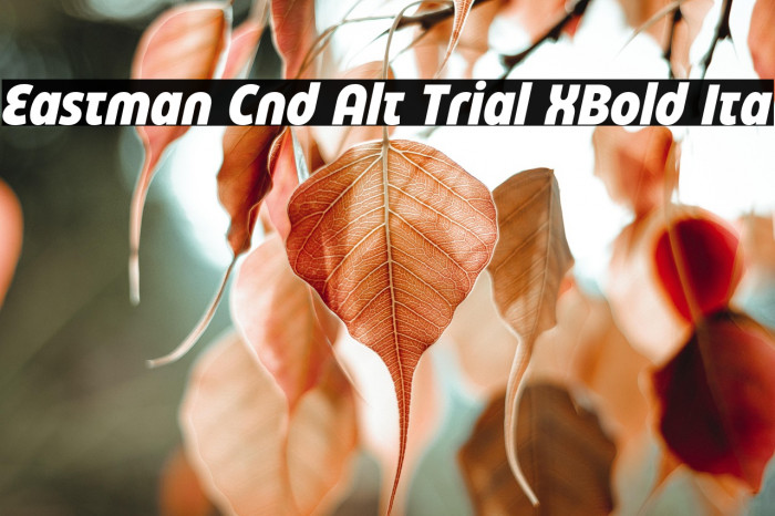 Eastman Cnd Alt Trial XBold Ita Example 2