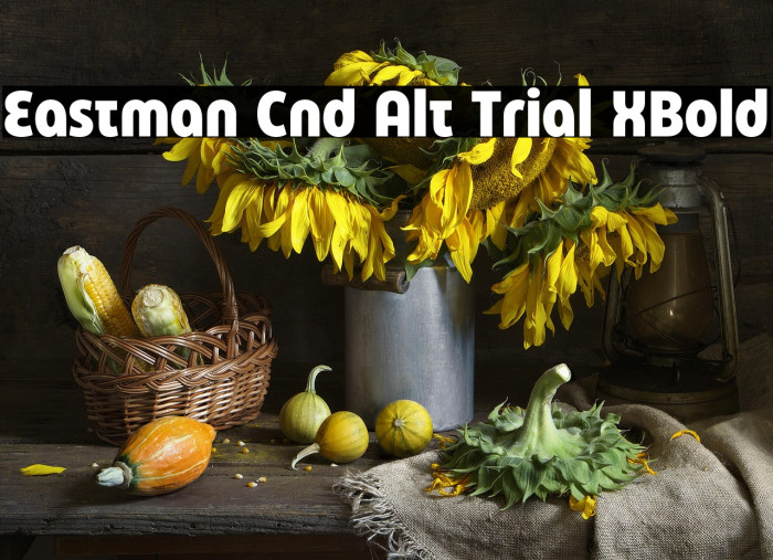 Eastman Cnd Alt Trial XBold Example 2