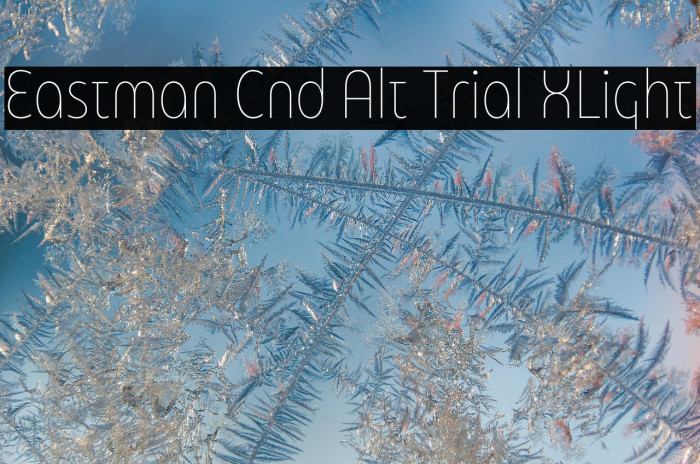 Eastman Cnd Alt Trial XLight Example 1