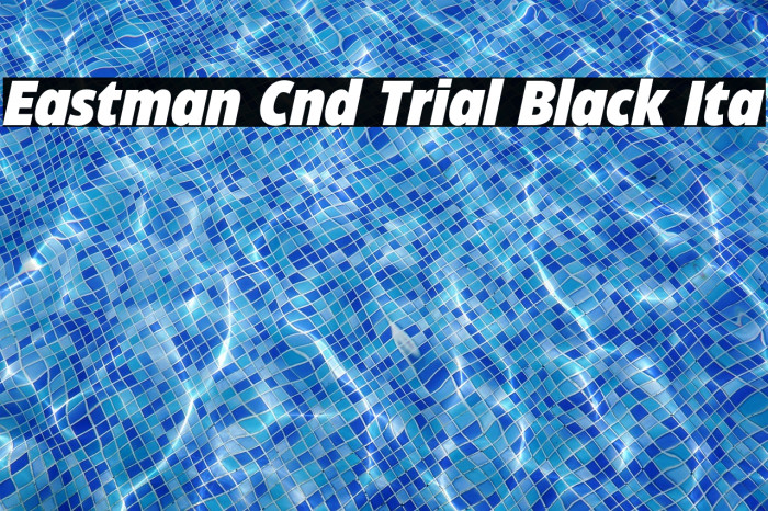 Eastman Cnd Trial Black Ita Example 2