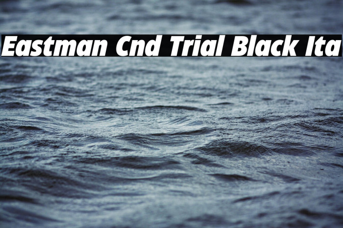 Eastman Cnd Trial Black Ita Example 3