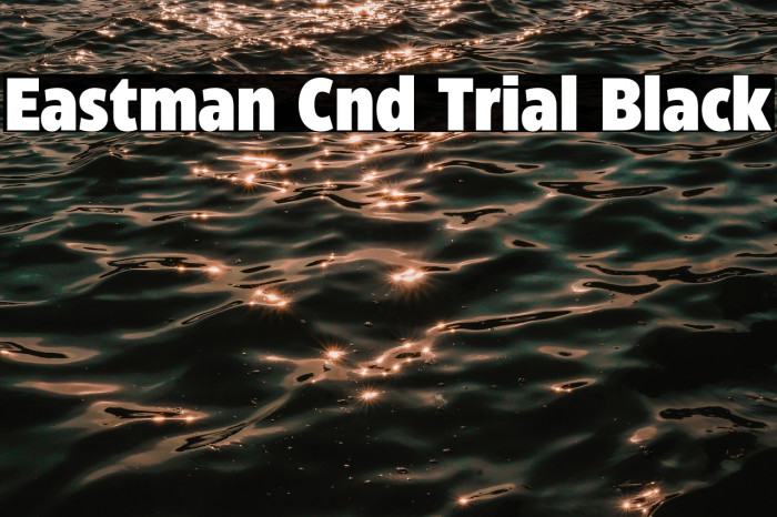 Eastman Cnd Trial Black Example 2