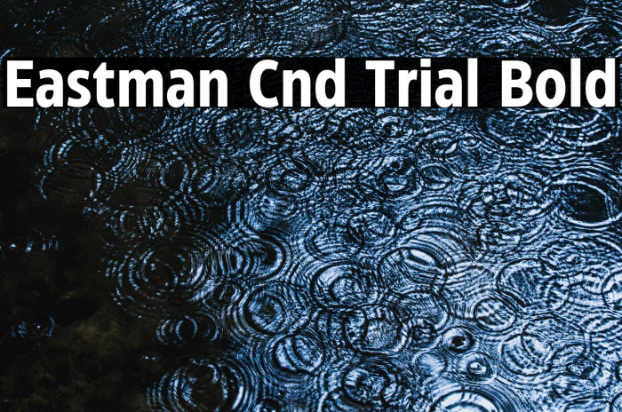 Eastman Cnd Trial Bold Example 1