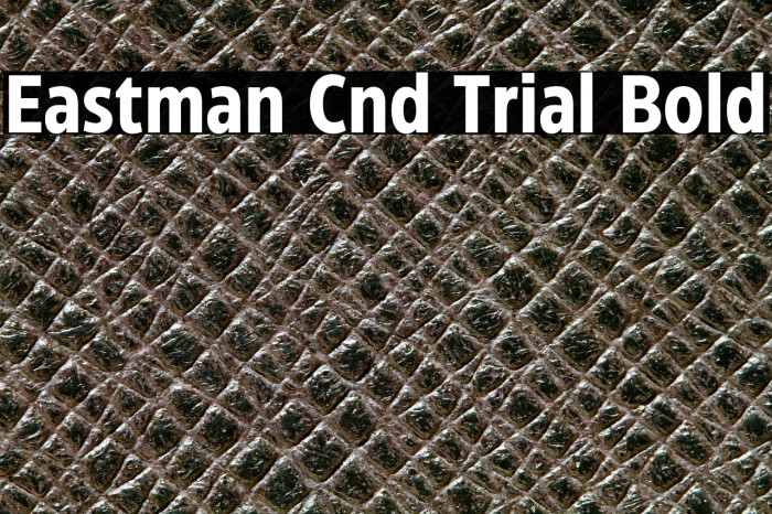 Eastman Cnd Trial Bold Example 2