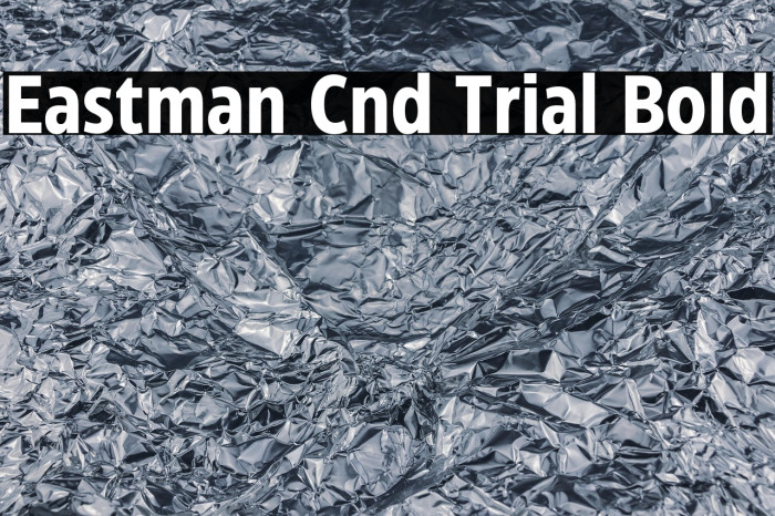 Eastman Cnd Trial Bold Example 3
