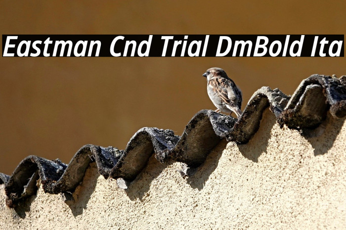 Eastman Cnd Trial DmBold Ita Example 2