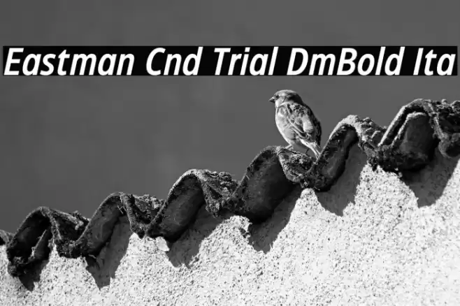 Eastman Cnd Trial DmBold Ita Font examples