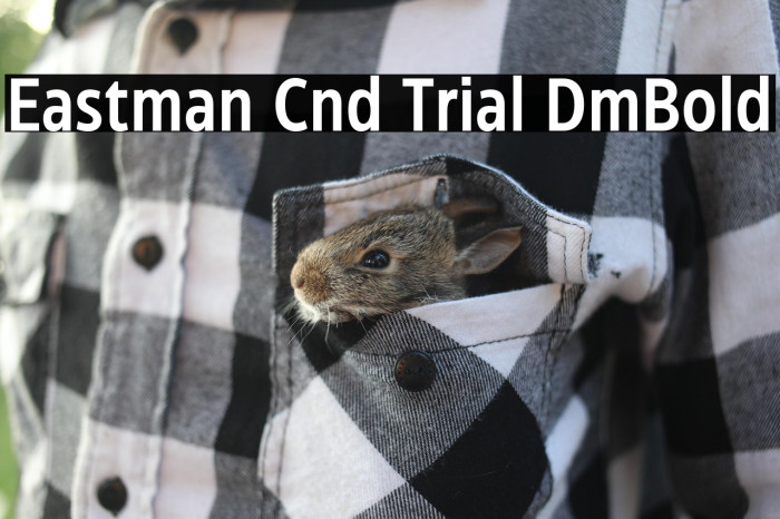 Eastman Cnd Trial DmBold Example 1
