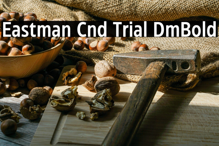 Eastman Cnd Trial DmBold Example 3