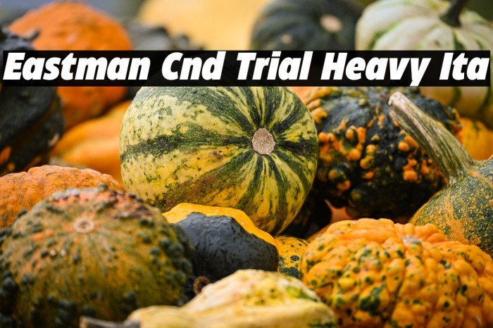 Eastman Cnd Trial Heavy Ita Example 2