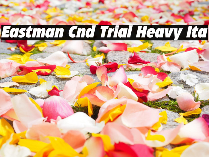 Eastman Cnd Trial Heavy Ita Example 3