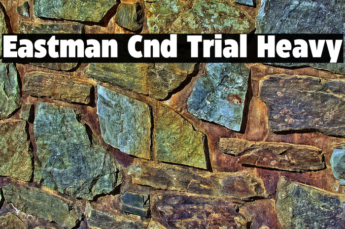 Eastman Cnd Trial Heavy Example 1