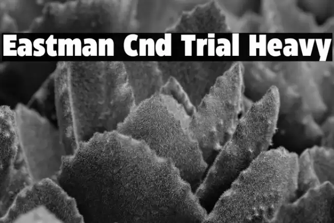 Eastman Cnd Trial Heavy Font examples