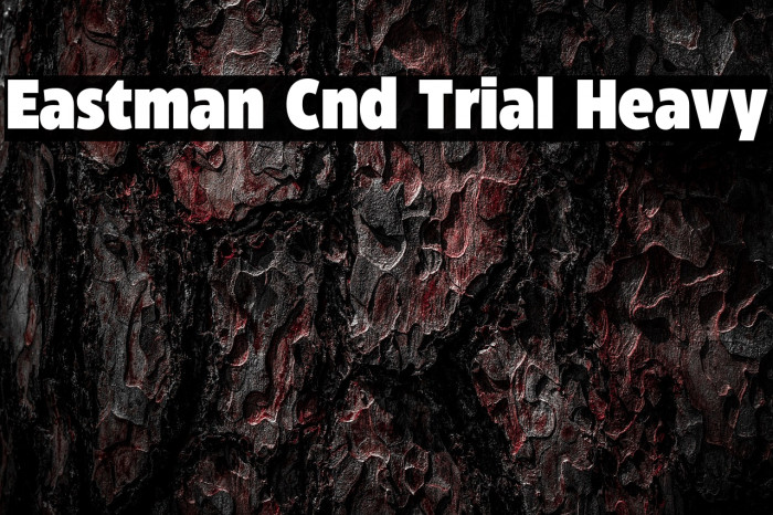 Eastman Cnd Trial Heavy Example 3