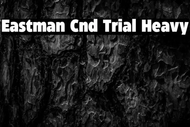 Eastman Cnd Trial Heavy Font examples