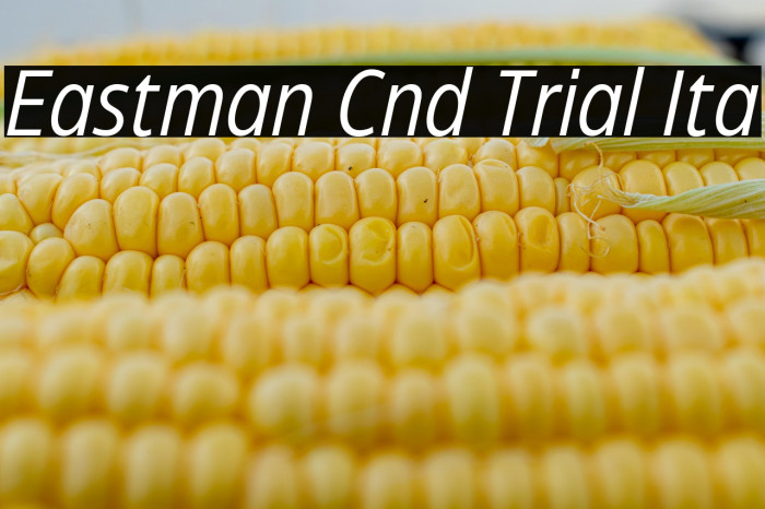 Eastman Cnd Trial Ita Example 3