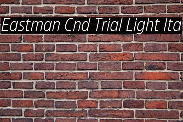Eastman Cnd Trial Light Ita Example 1