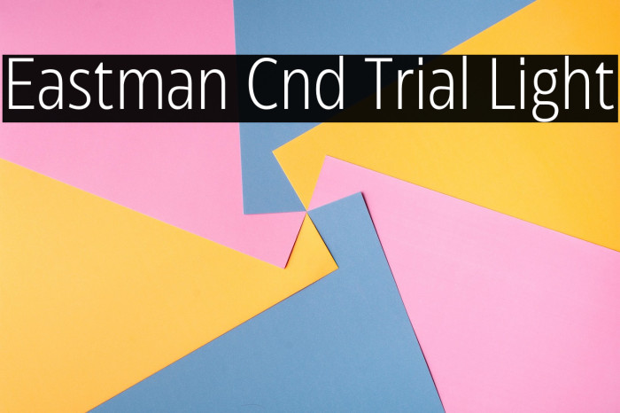 Eastman Cnd Trial Light Example 3