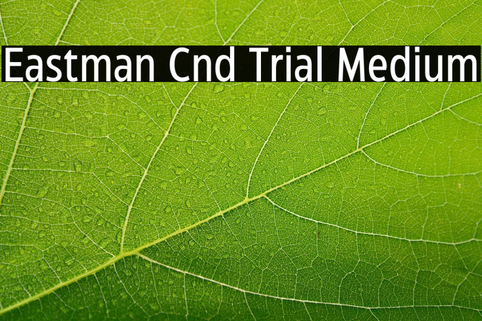 Eastman Cnd Trial Medium Example 1