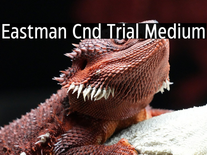 Eastman Cnd Trial Medium Example 2