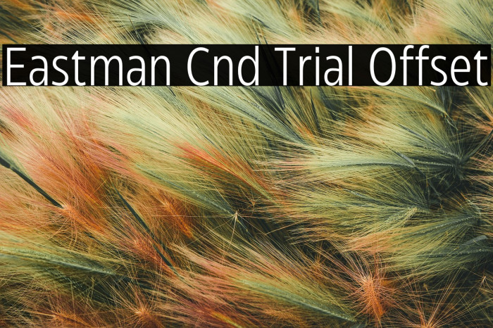 Eastman Cnd Trial Offset Example 1