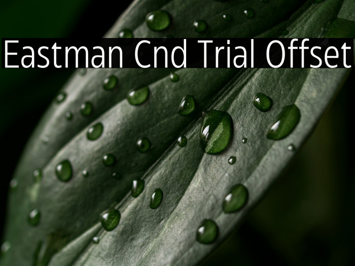 Eastman Cnd Trial Offset Example 2
