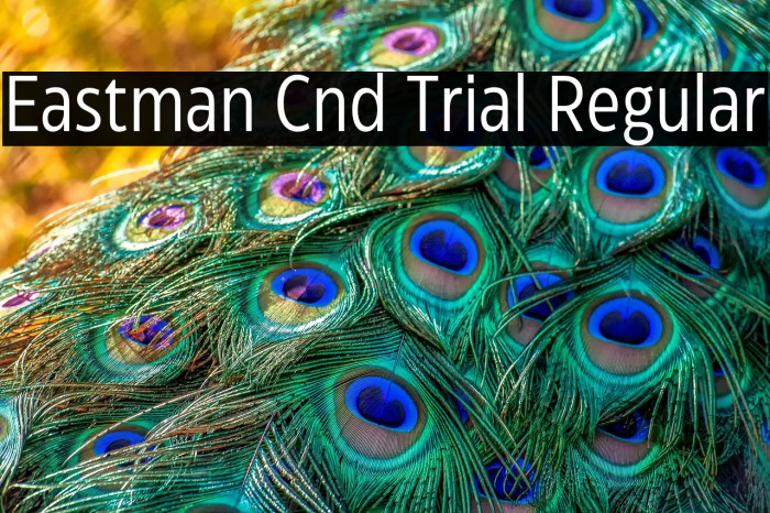 Eastman Cnd Trial Regular Example 2