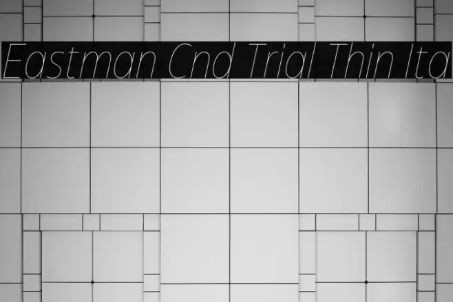 Eastman Cnd Trial Thin Ita Font examples