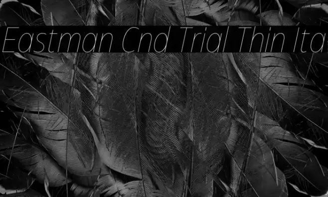 Eastman Cnd Trial Thin Ita Font examples
