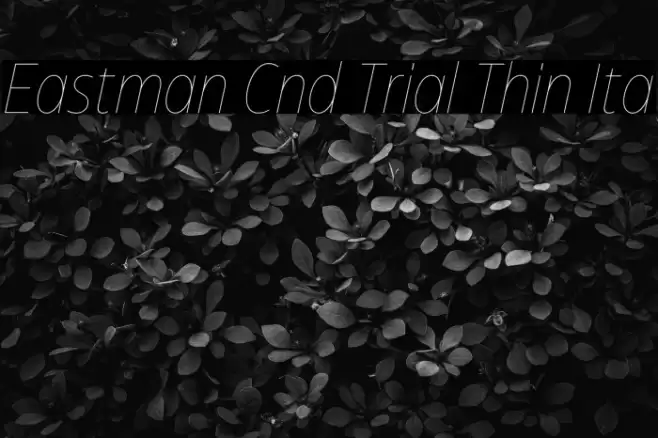 Eastman Cnd Trial Thin Ita Font examples