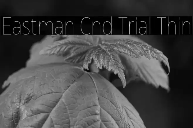Eastman Cnd Trial Thin Example 3