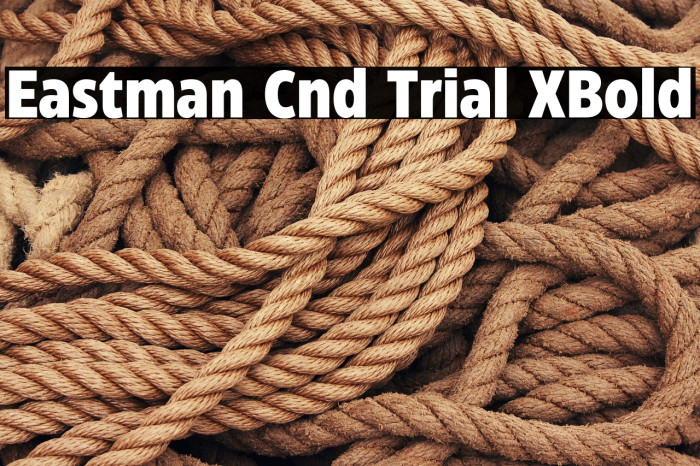 Eastman Cnd Trial XBold Example 1