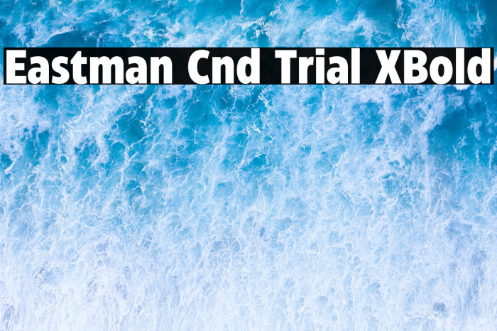 Eastman Cnd Trial XBold Example 3