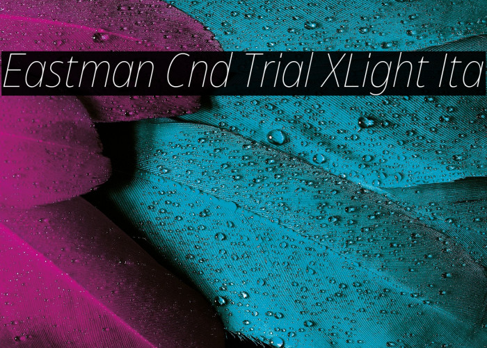 Eastman Cnd Trial XLight Ita Example 3