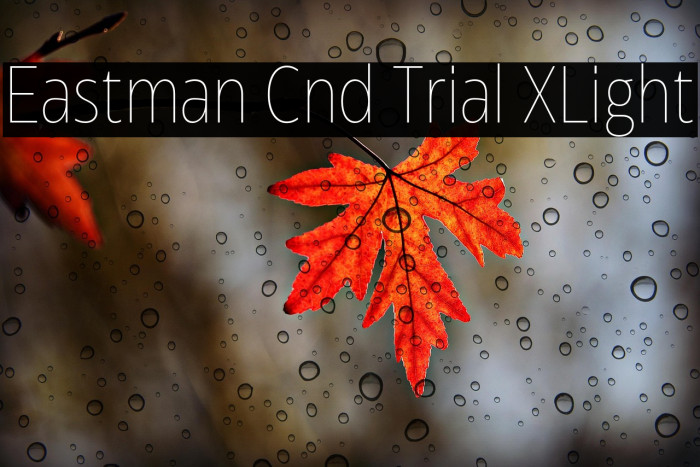Eastman Cnd Trial XLight Example 2